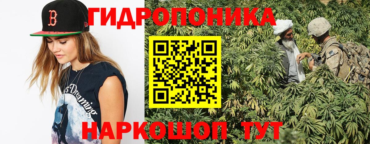 Бошки марихуана конопля  Каннабис White Widow  Касимов  Марихуана план  Канабис марихуана  Вход с VPN 